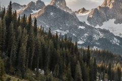 A 240 by 160 pixel crop of a photograph, shown at its own size.
